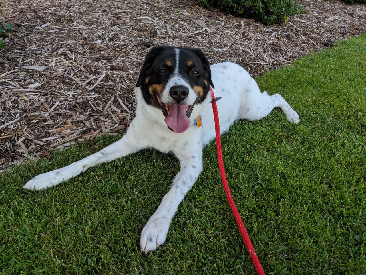 MVIMG_20190622_121412.jpg