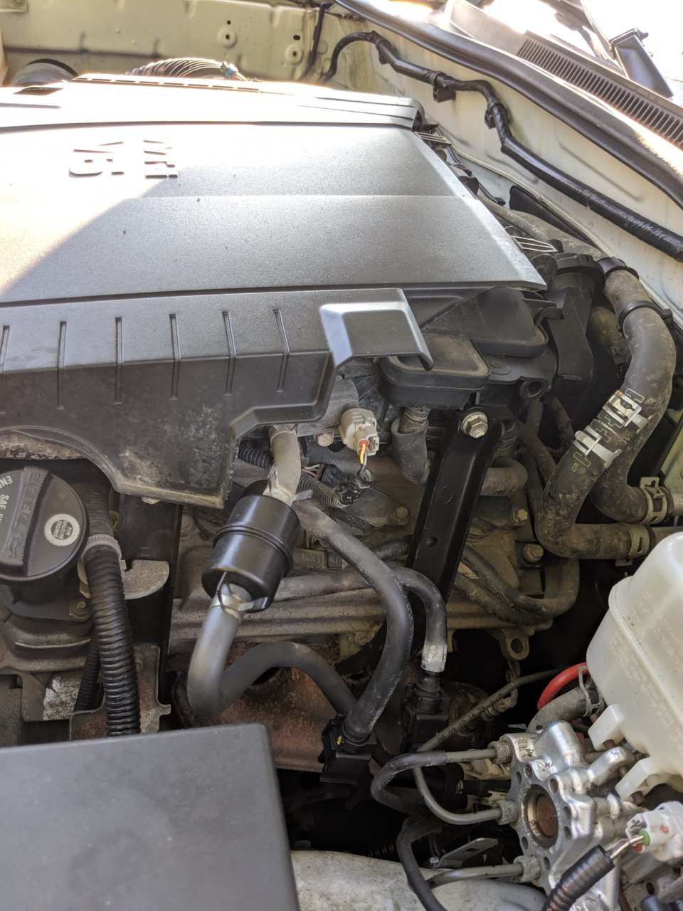 MVIMG_20190623_184557.jpg