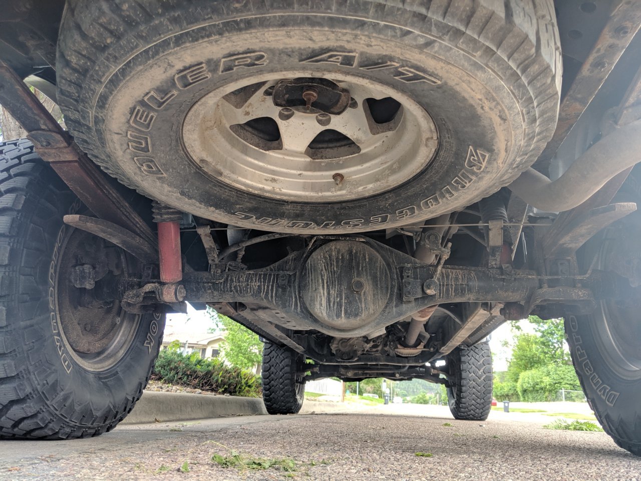 MVIMG_20190624_111543.jpg