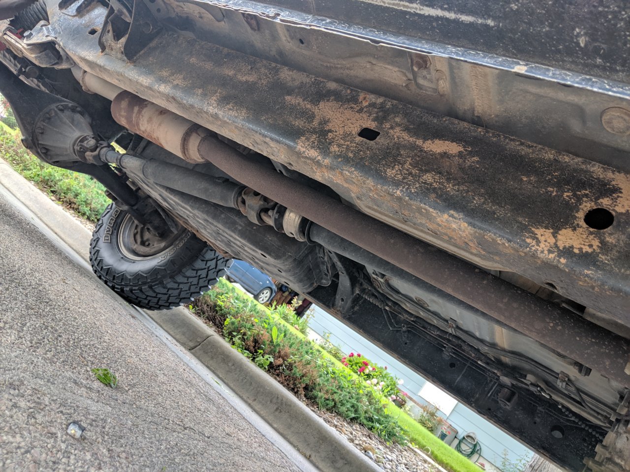 MVIMG_20190624_111600.jpg