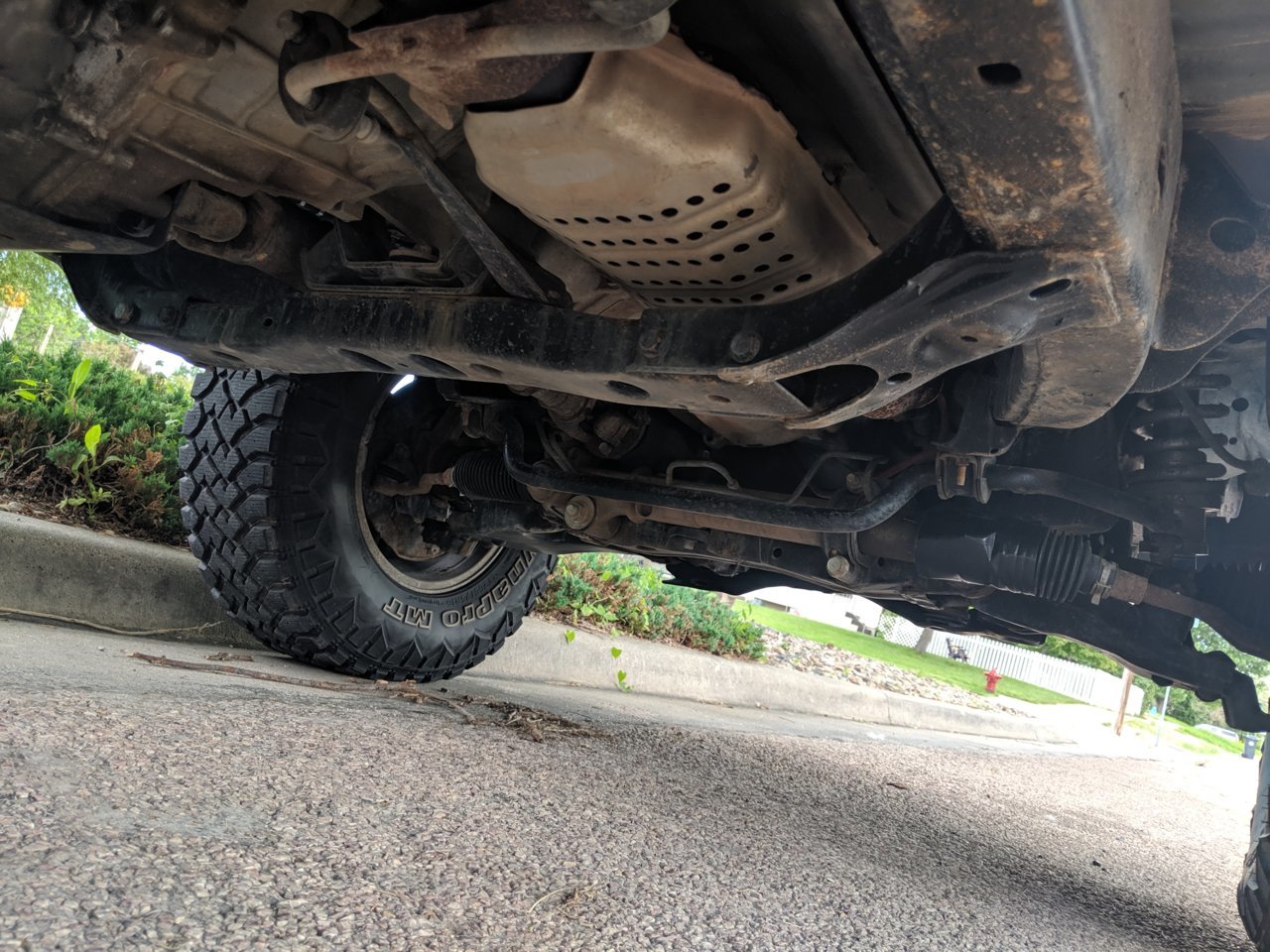 MVIMG_20190624_111612.jpg