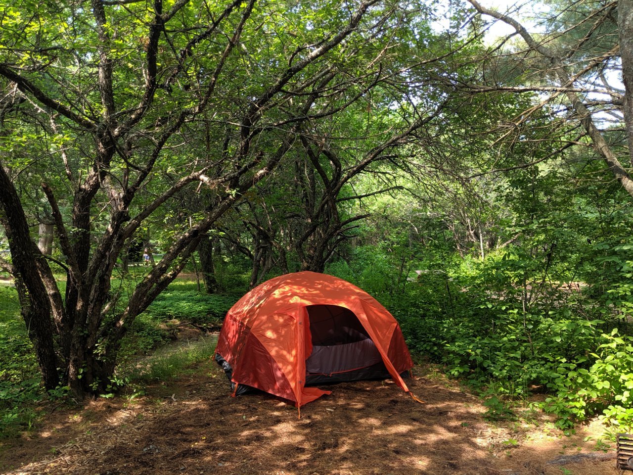 MVIMG_20190704_092110.jpg