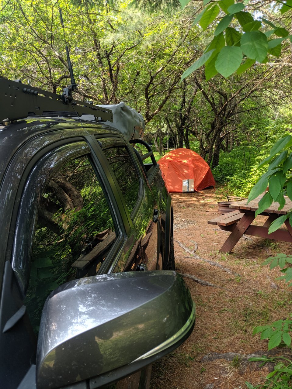 MVIMG_20190704_092235.jpg