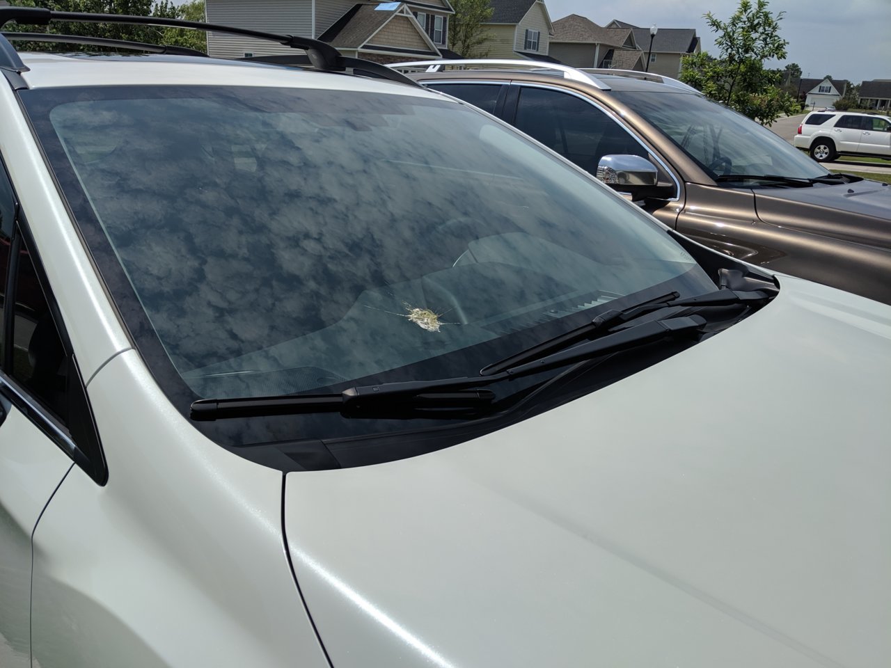 MVIMG_20190704_115436.jpg
