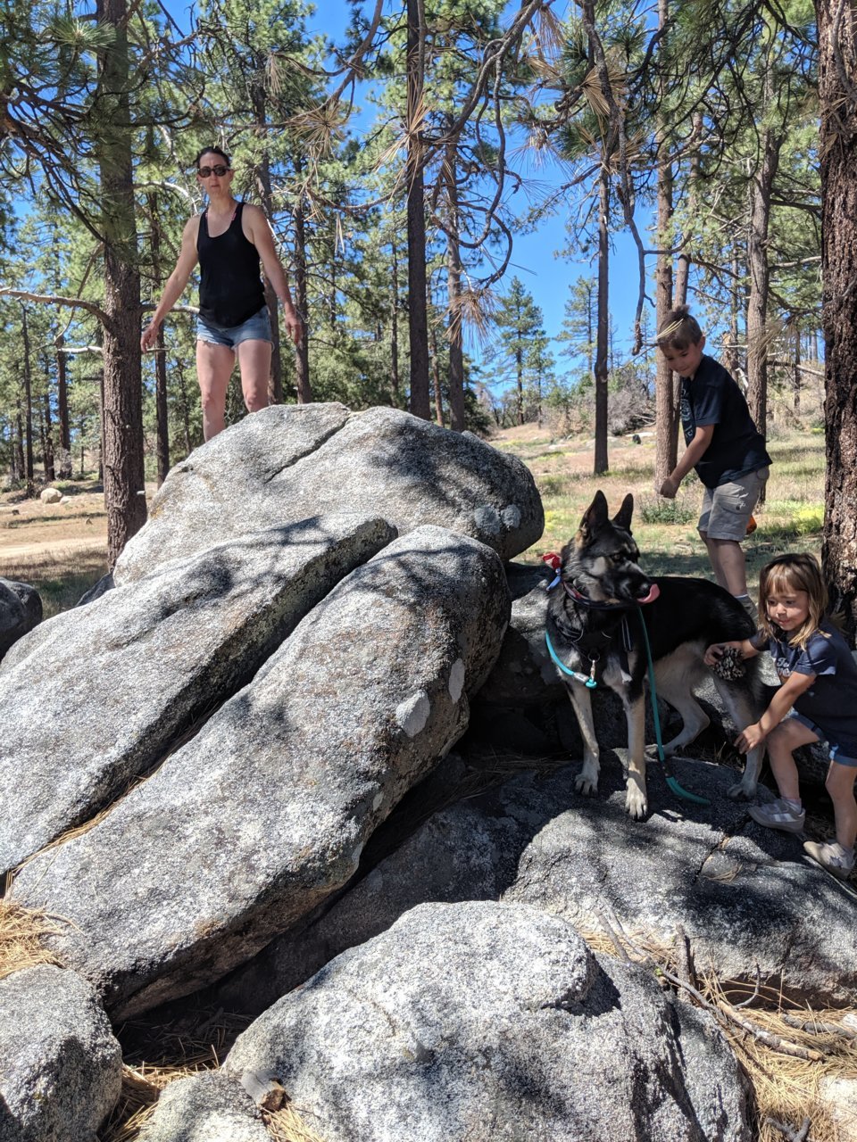 MVIMG_20190705_103324.jpg