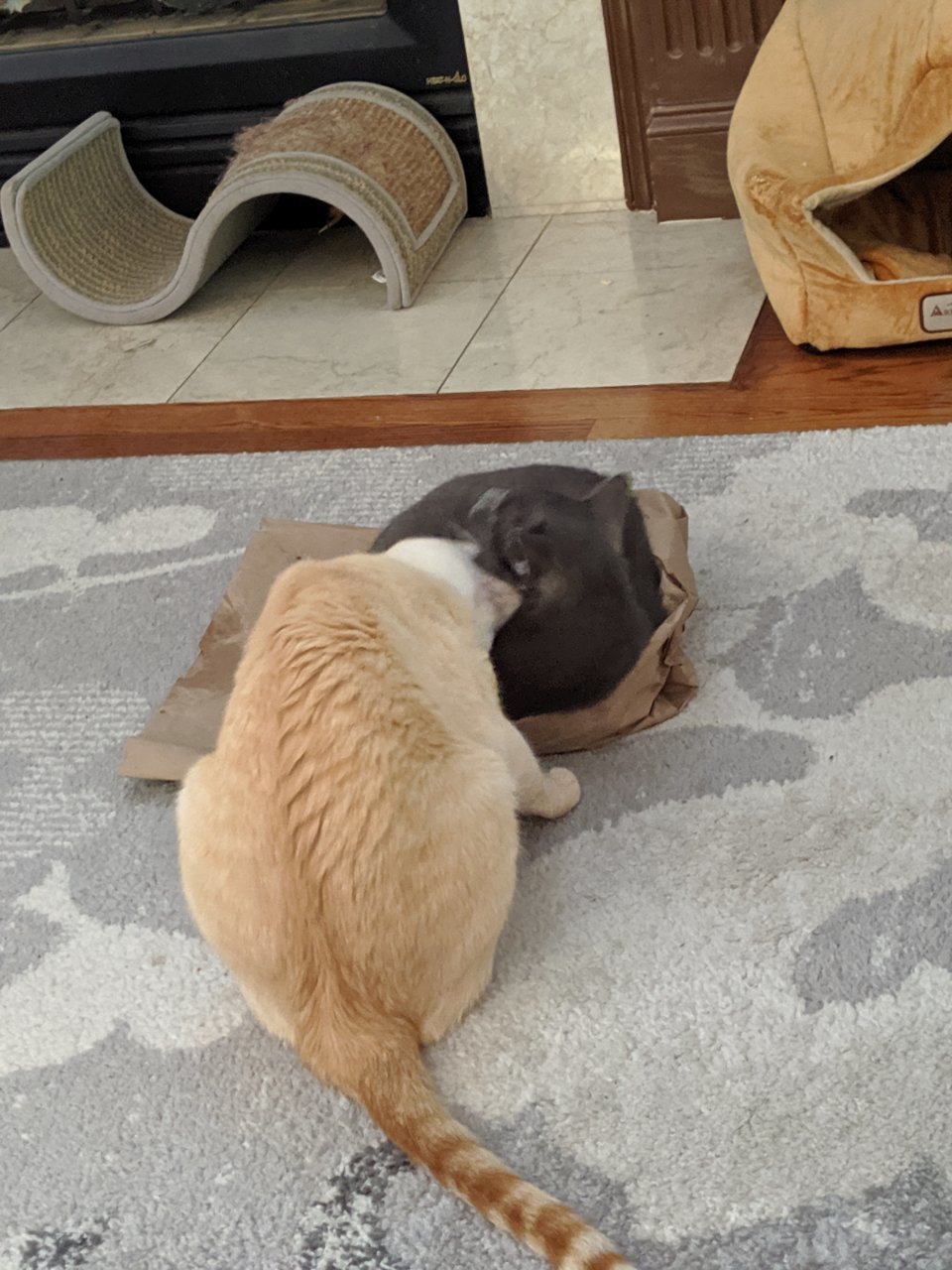 MVIMG_20190706_172034.jpg