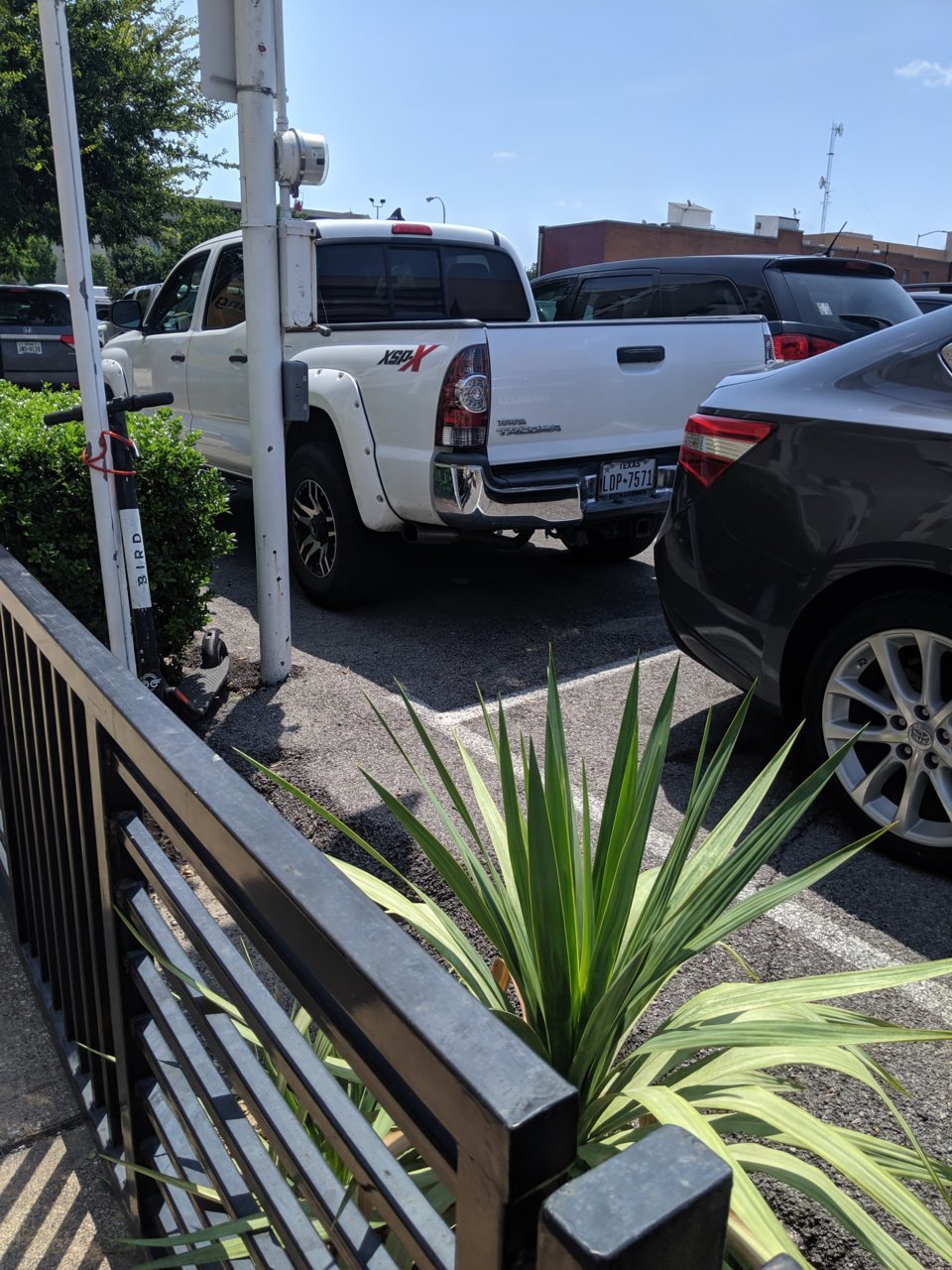 MVIMG_20190716_120520.jpg