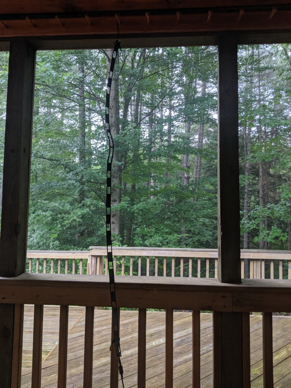 MVIMG_20190717_174905.jpg