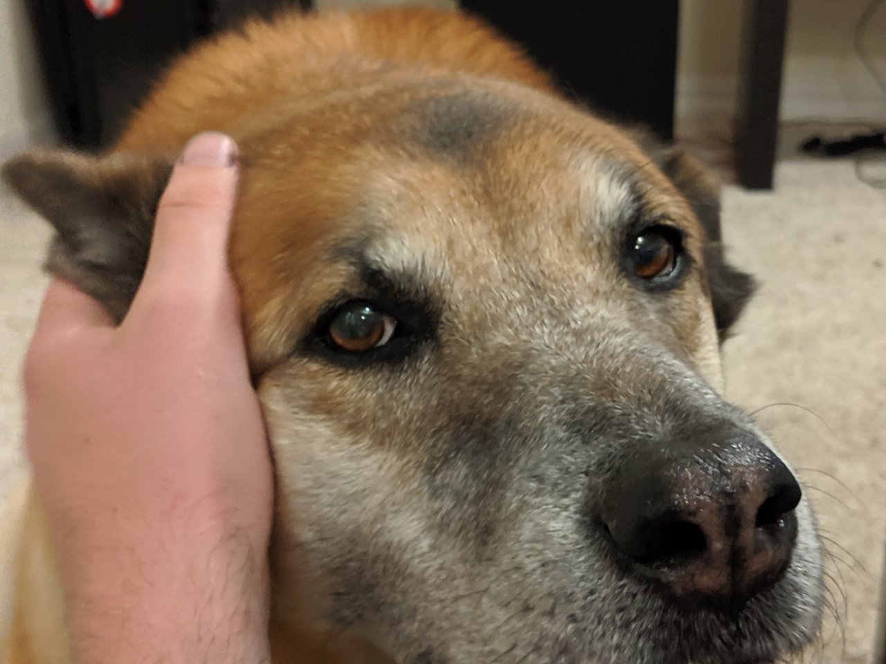 MVIMG_20190805_221114.jpg