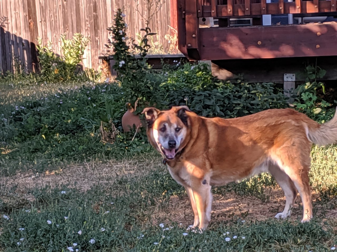 MVIMG_20190806_080656.jpg