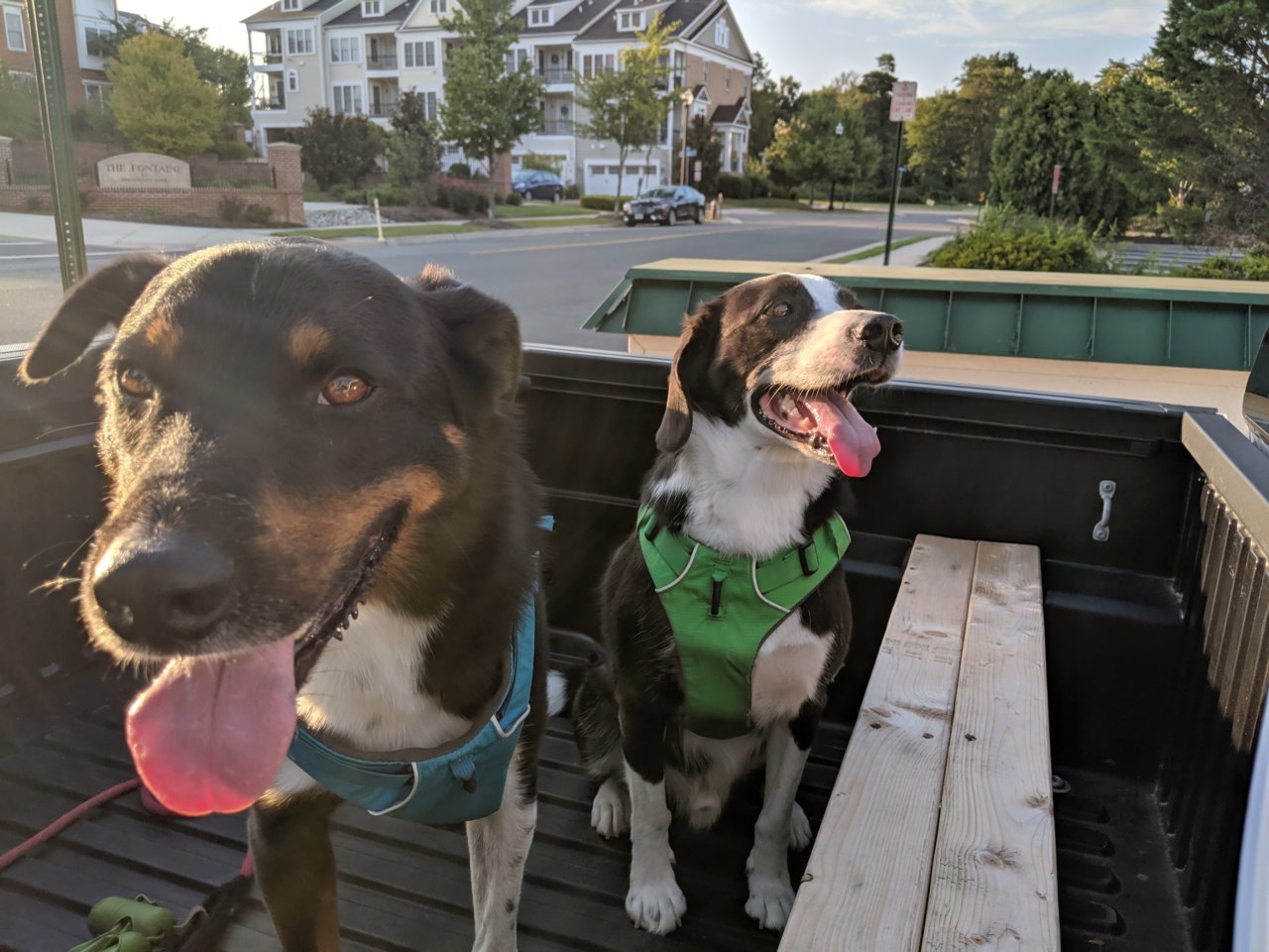 MVIMG_20190808_191551.jpg