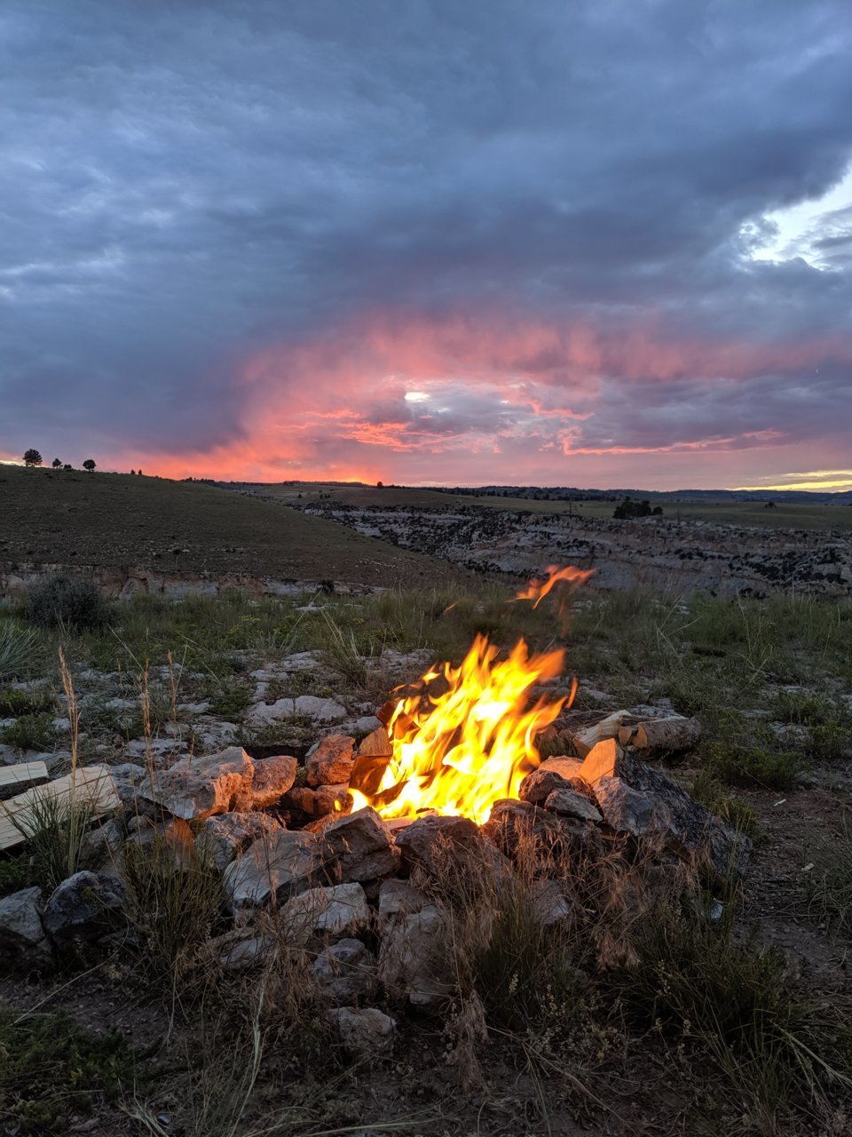 MVIMG_20190810_202305.jpg