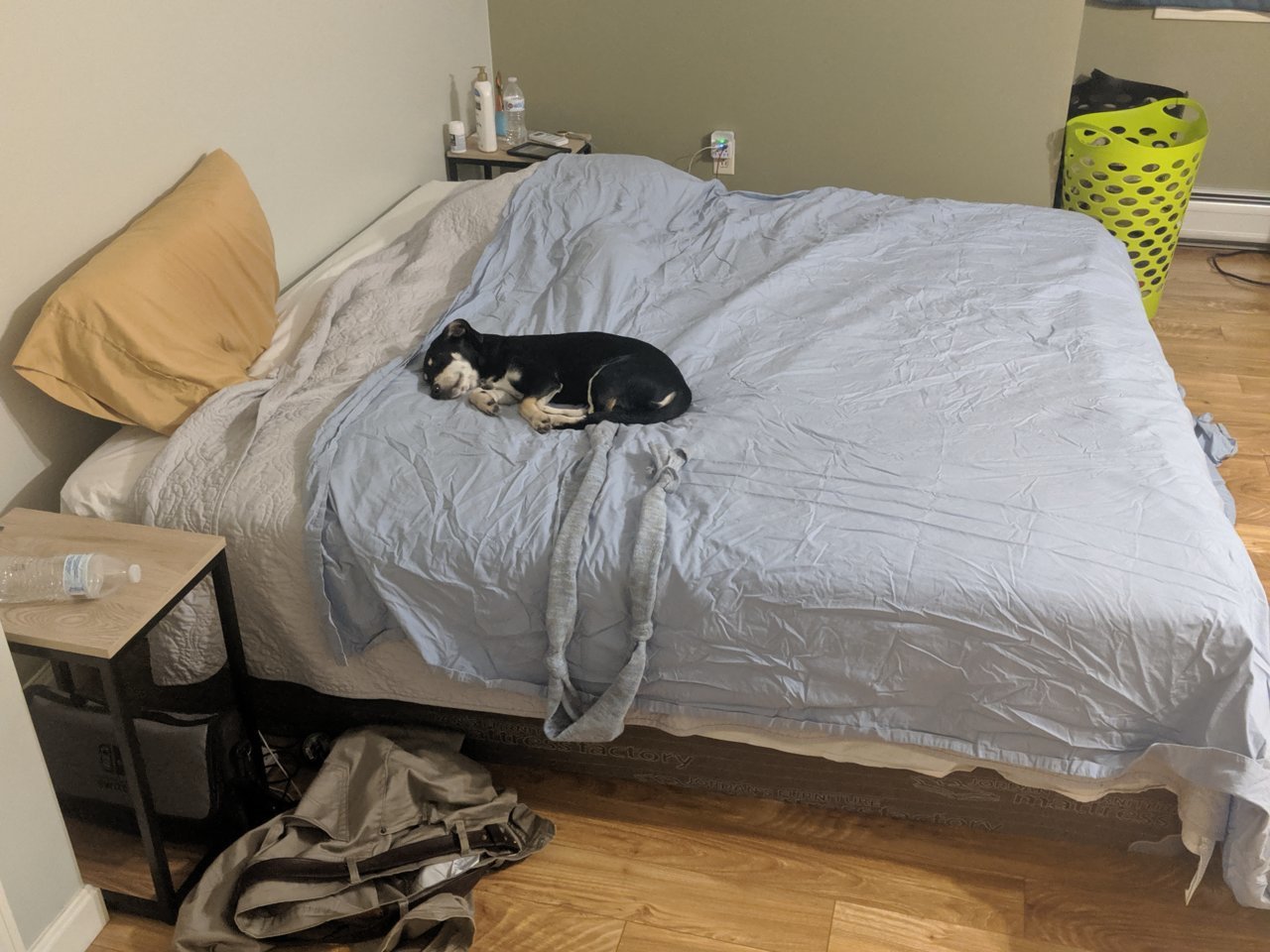 MVIMG_20190821_222256.jpg