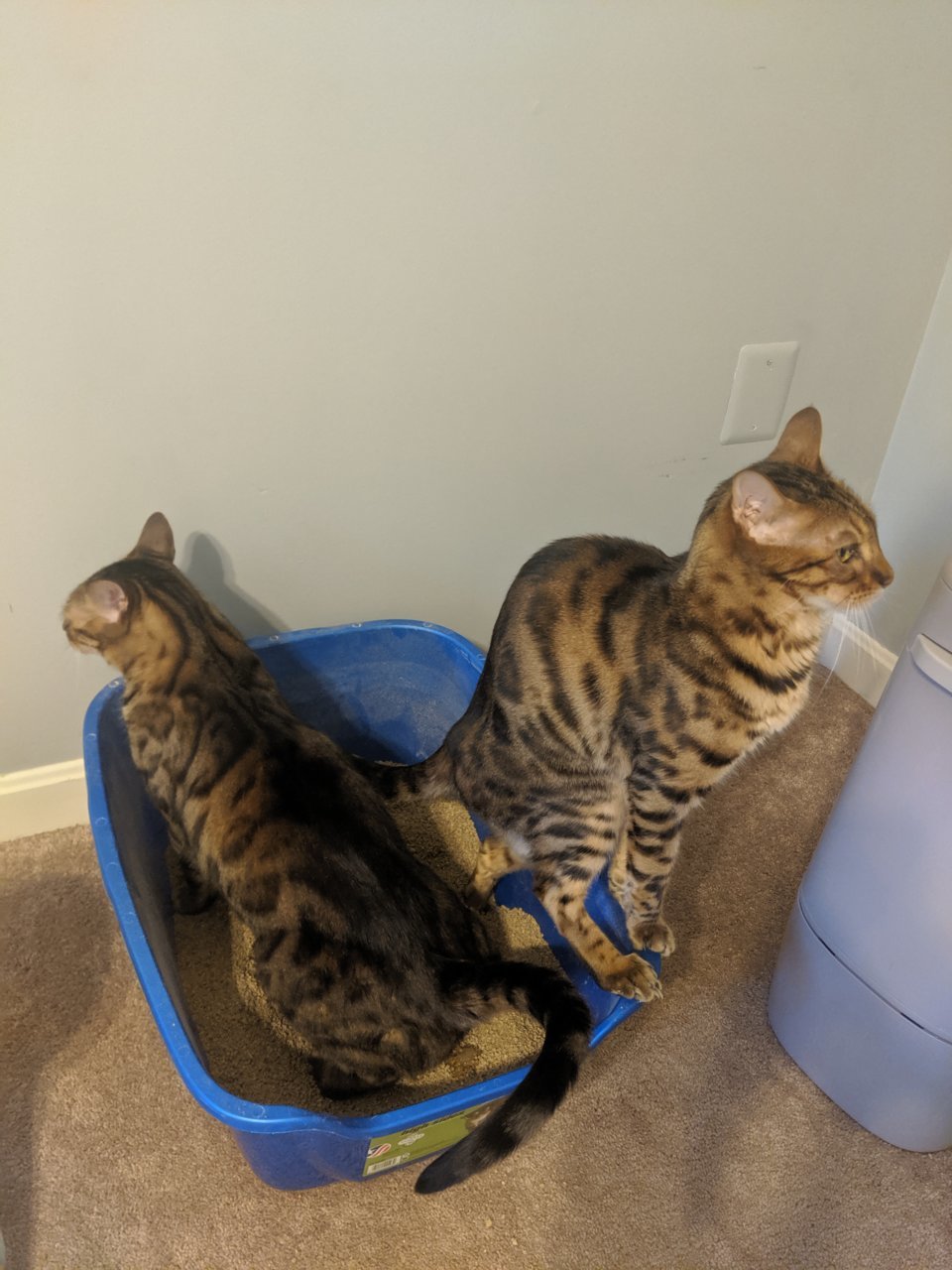 MVIMG_20190830_174301.jpg