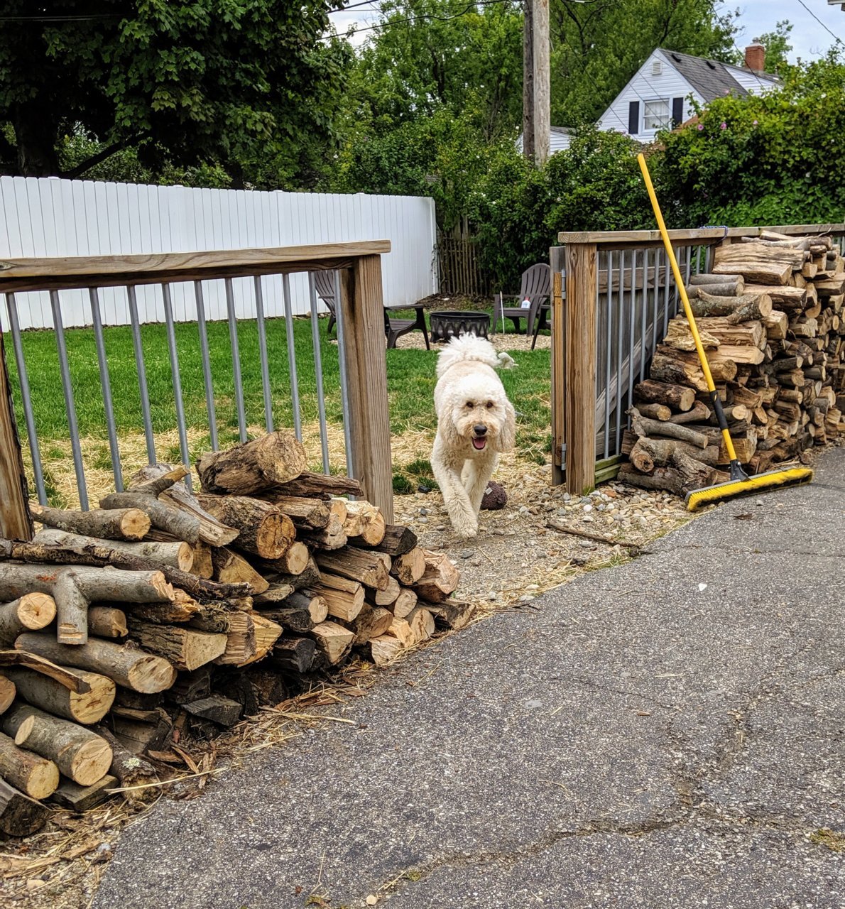 MVIMG_20190831_163050.jpg