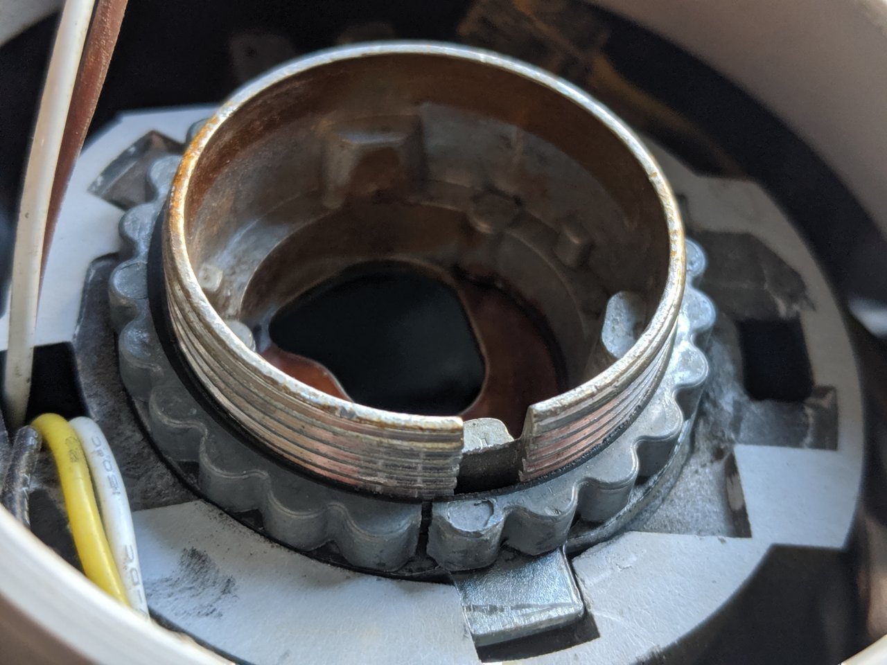 MVIMG_20190916_164245.jpg