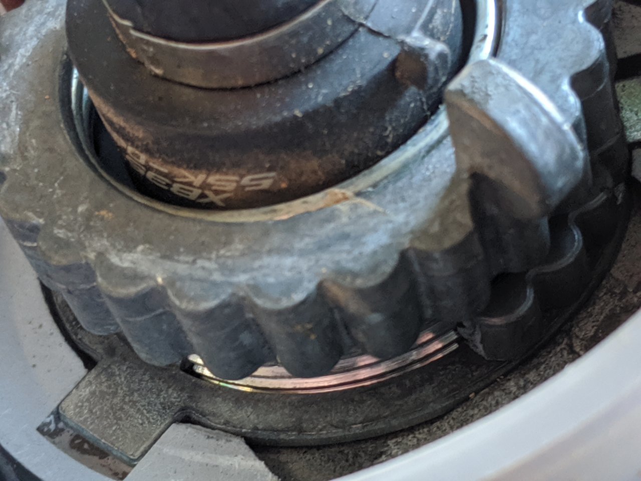 MVIMG_20190923_165641.jpg