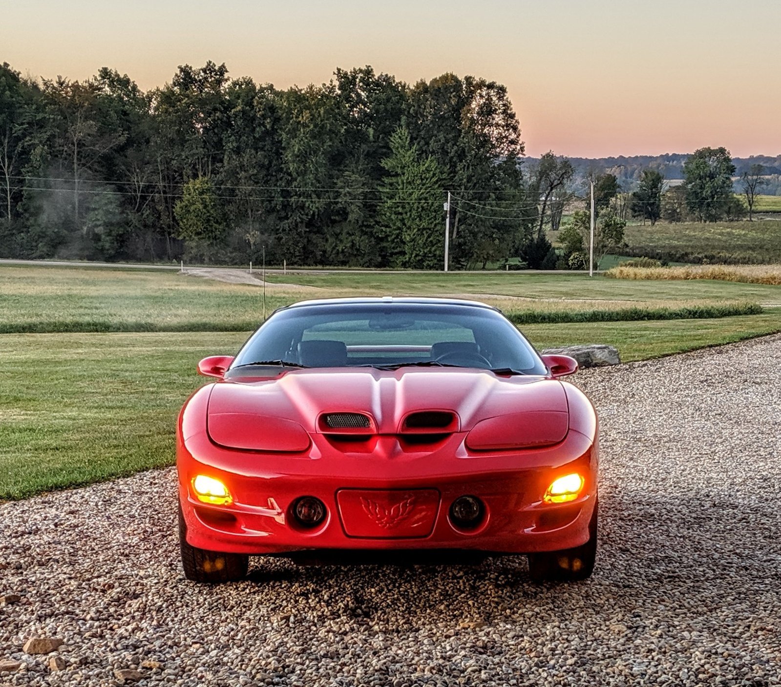 MVIMG_20190924_072638~2.jpg