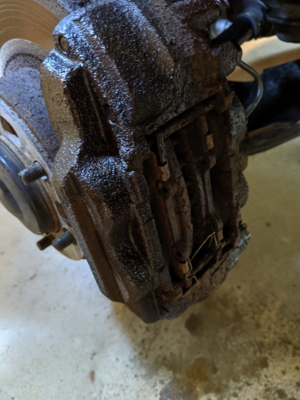 MVIMG_20191008_155259.jpg