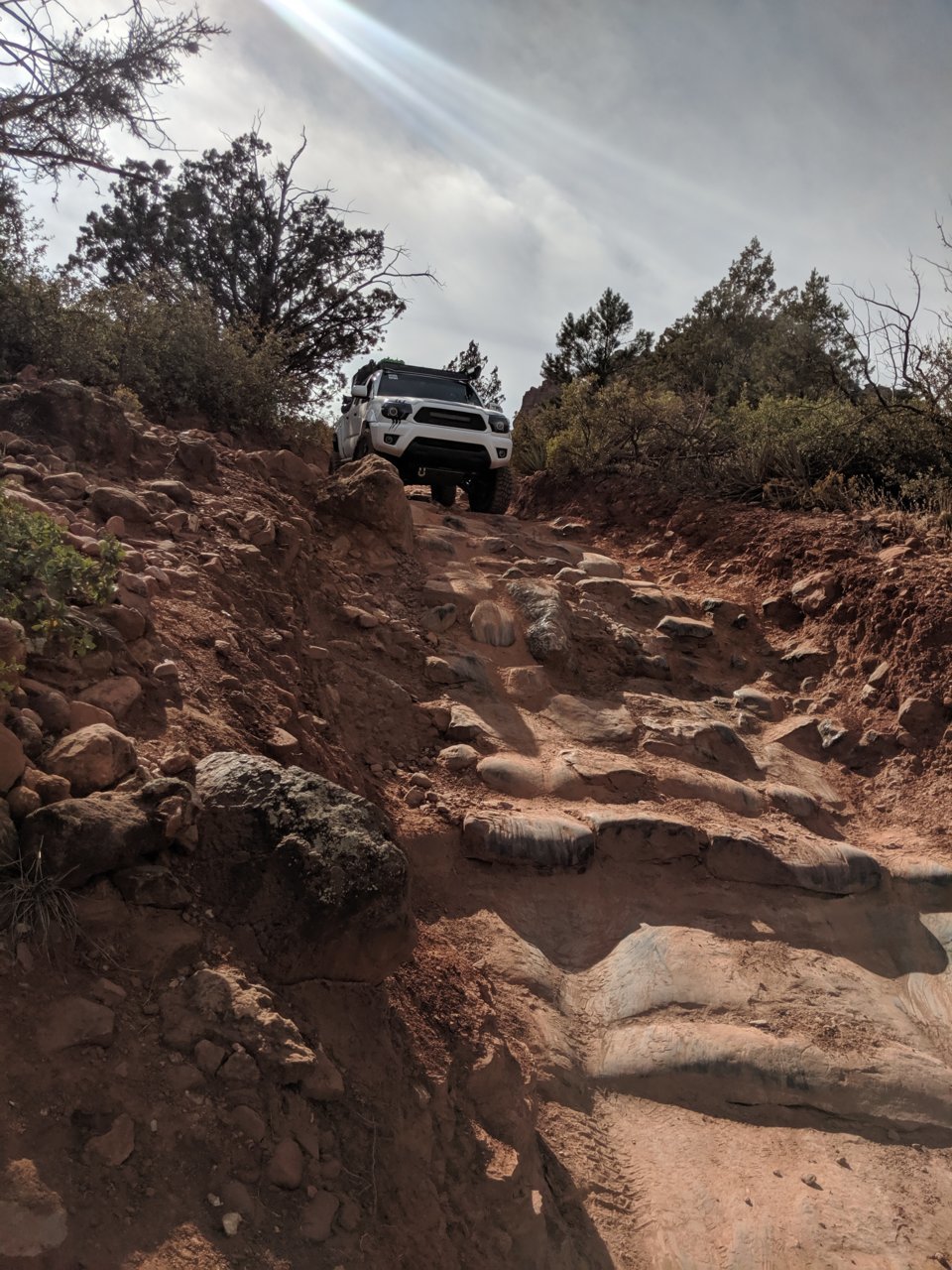 MVIMG_20191110_125258.jpg