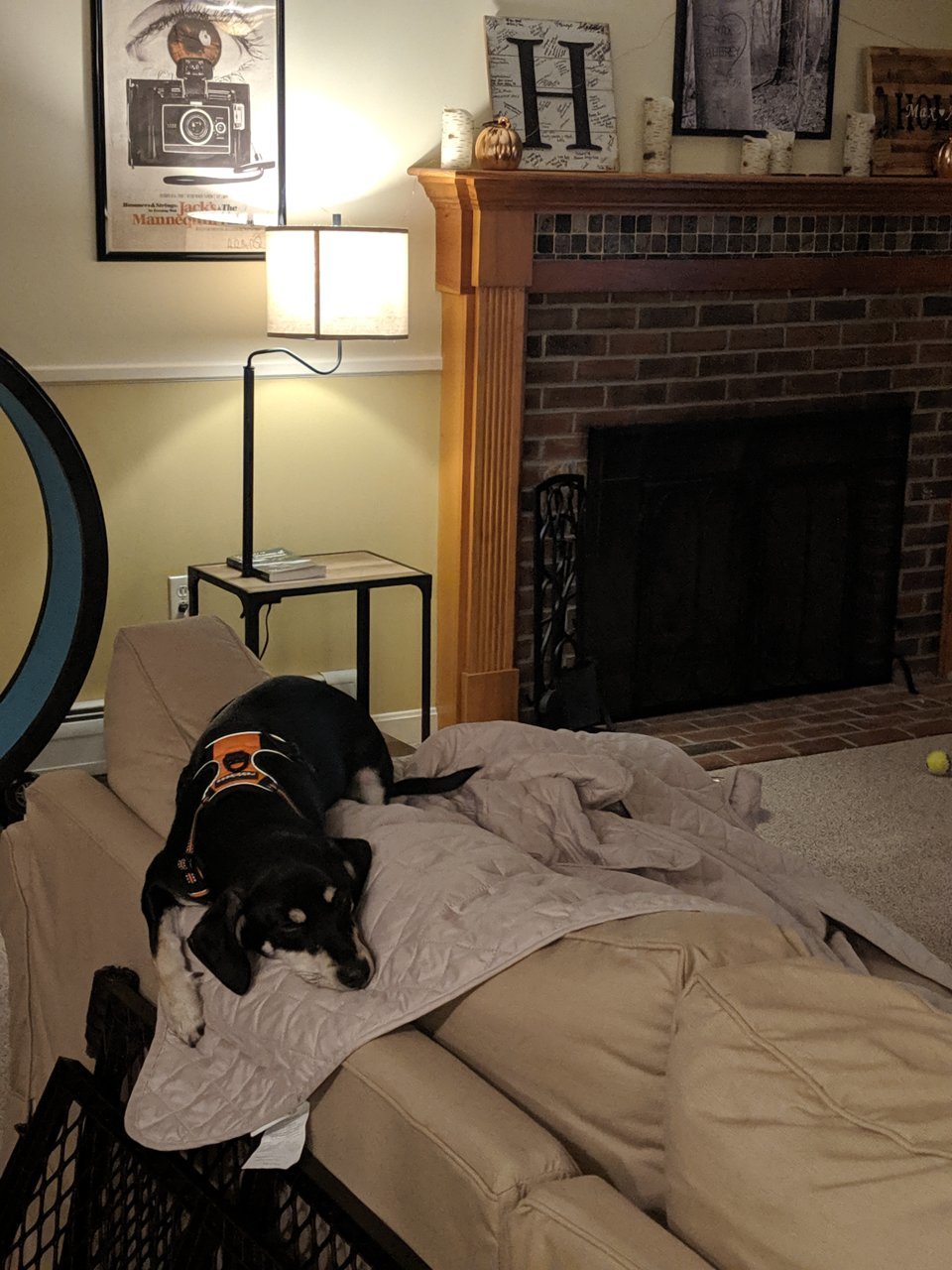 MVIMG_20191114_184619.jpg