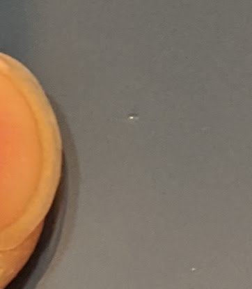 MVIMG_20191121_194038.jpg