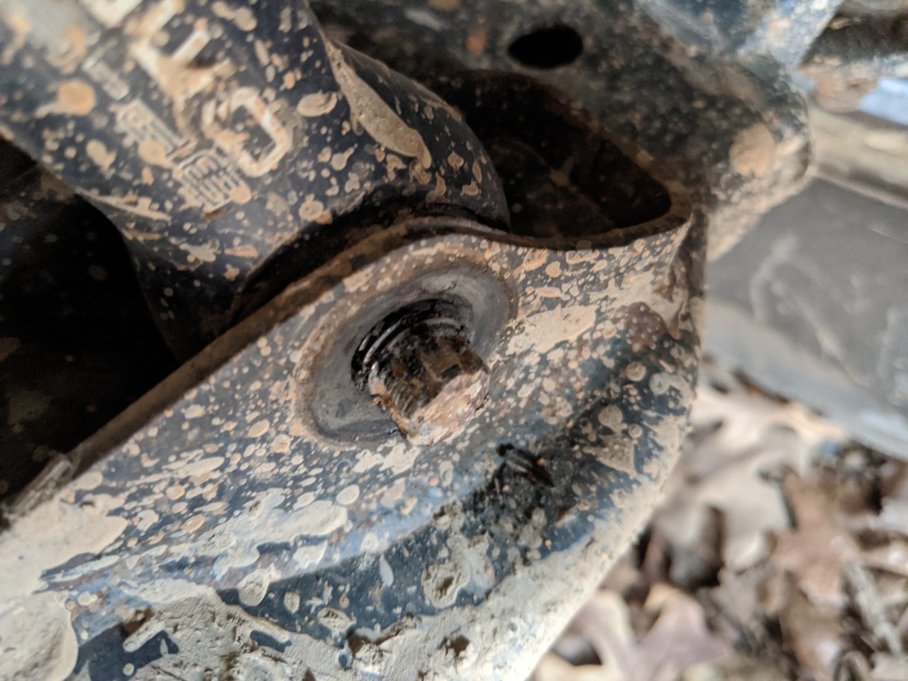 MVIMG_20191129_143241.jpg