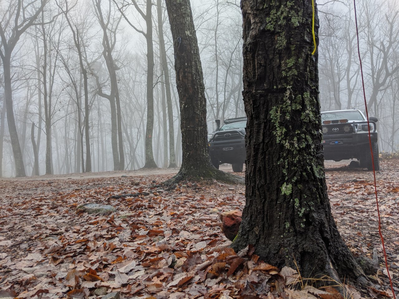 MVIMG_20191214_090208.jpg