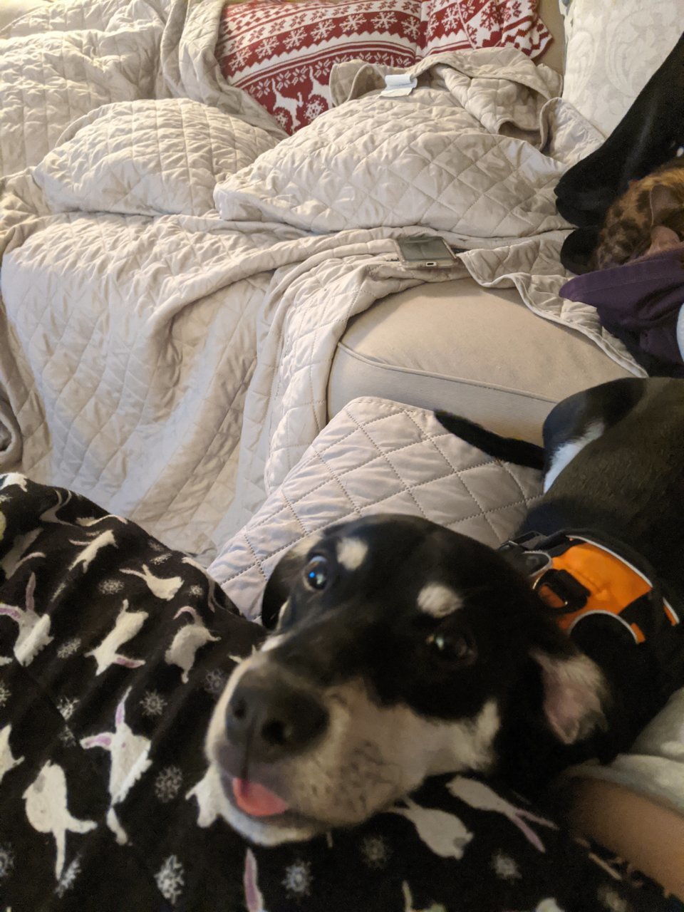 MVIMG_20191231_221558.jpg