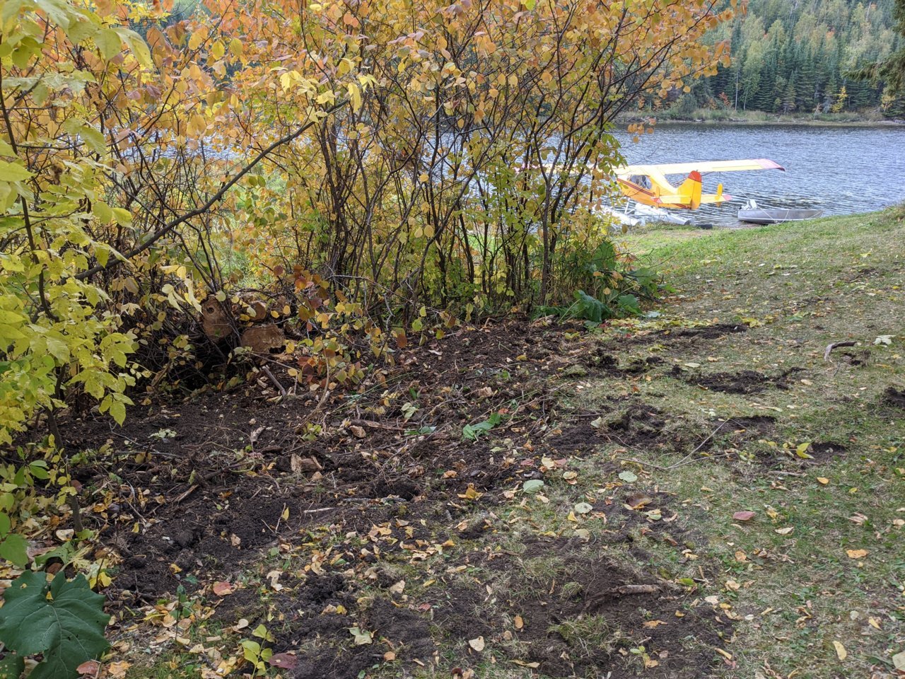 MVIMG_20200921_140209.jpg