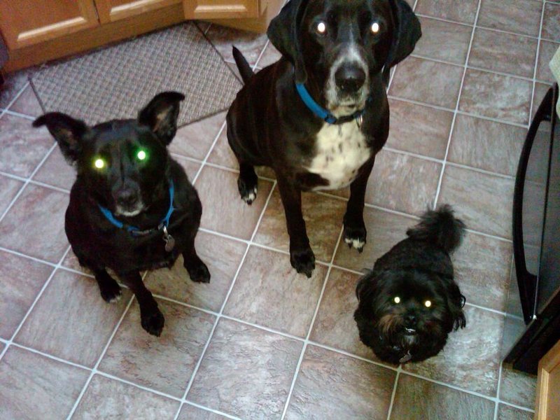 my boys.jpg