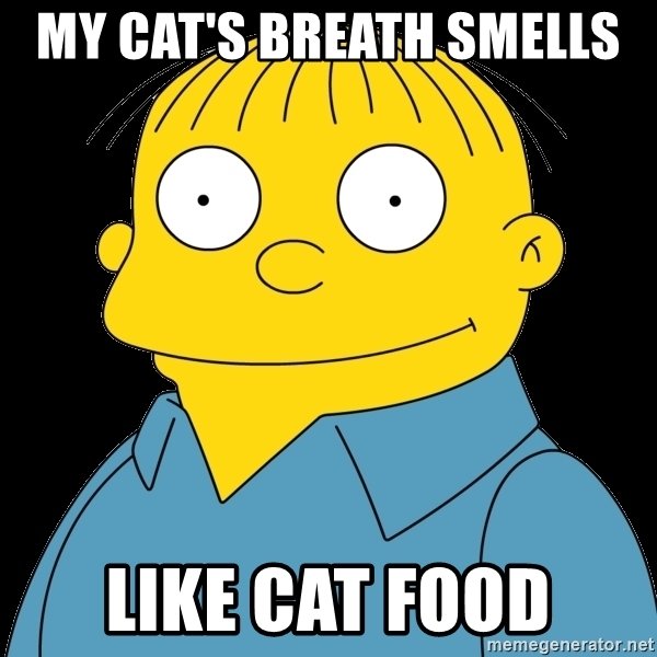 my-cats-breath-smells-like-cat-food.jpg