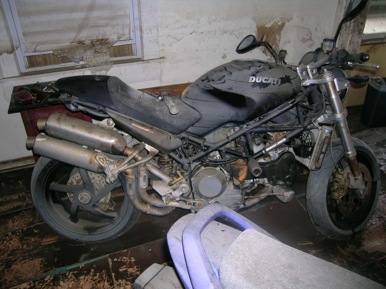 My Ducati (1).jpg