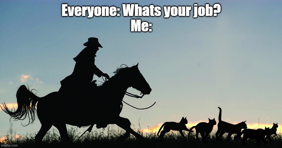 My job.jpg