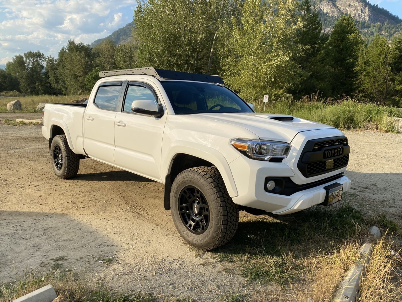 My Taco.jpg