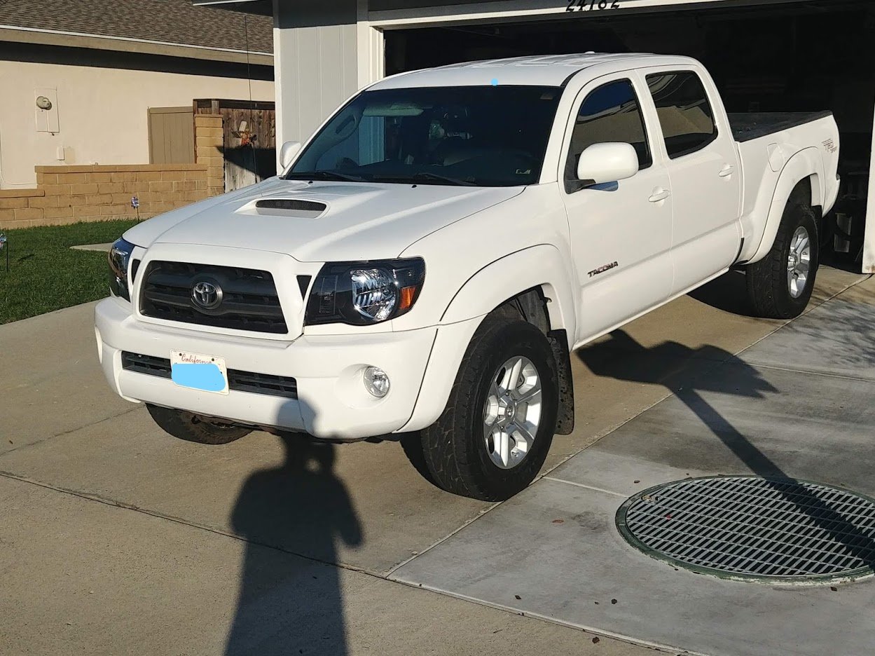My Taco_LI (2).jpg