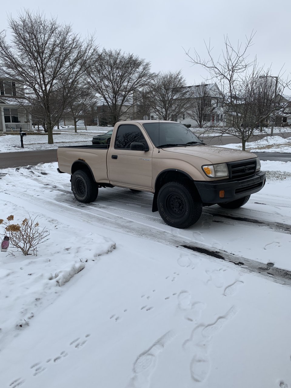 my tacoma.jpg