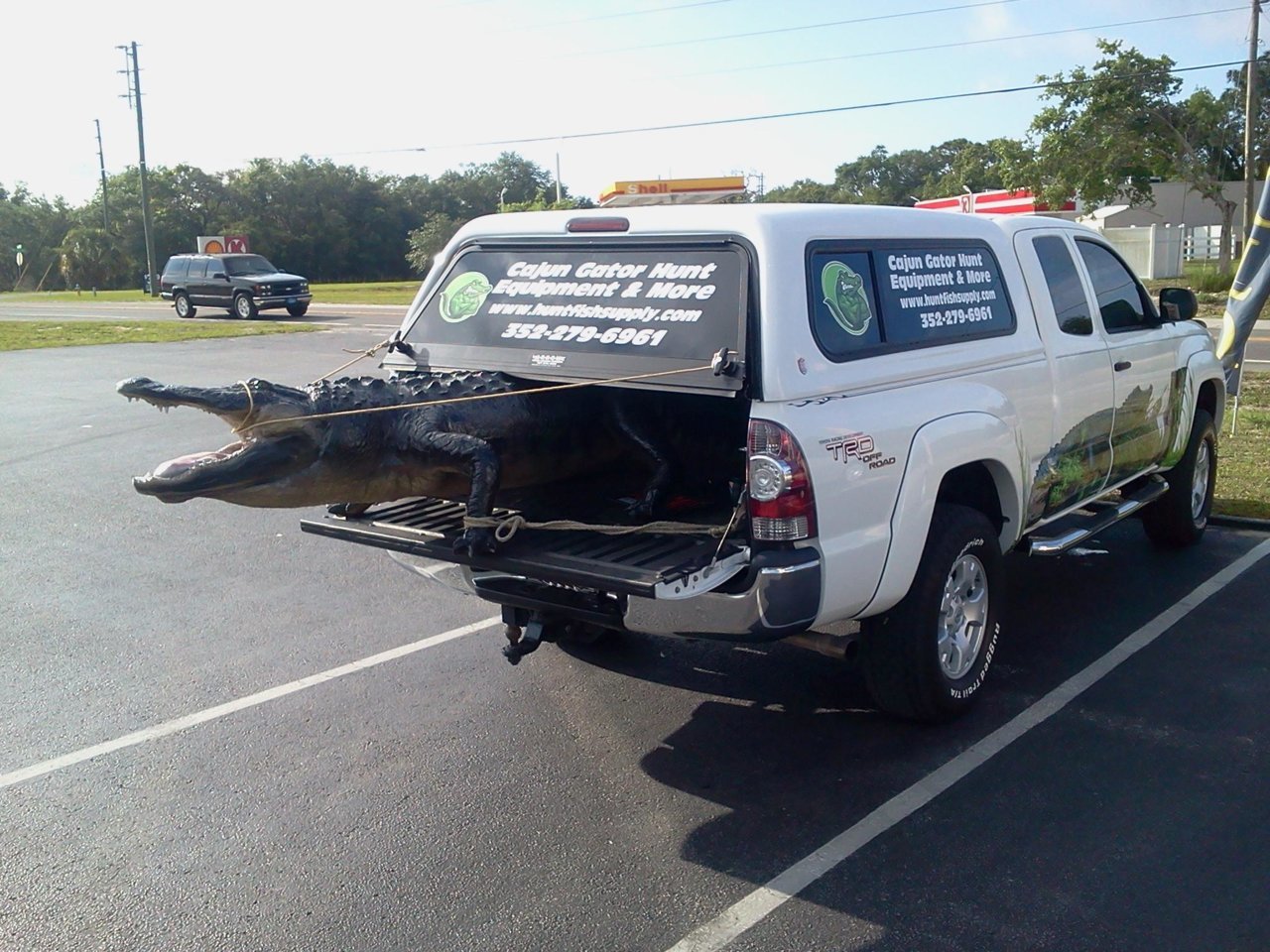 My Truck & Gator 2.jpg