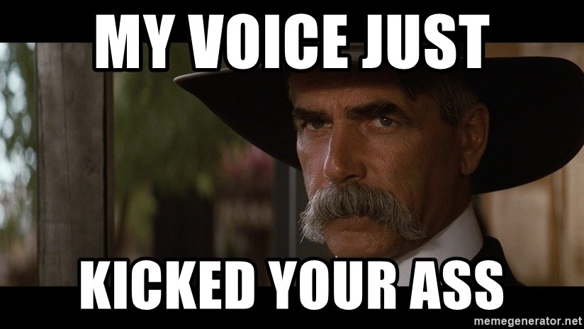 my-voice-just-kicked-your-ass.jpg