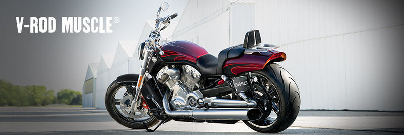 MY15VrodMuscle.jpg