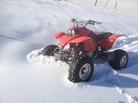 Myatvinthesnow_49386216ca7d731518e79bba23048e2cea93194f.jpg