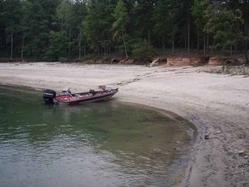 myboat_8a84cc19dff440d432c6aff9080f7a50c467acd8.jpg