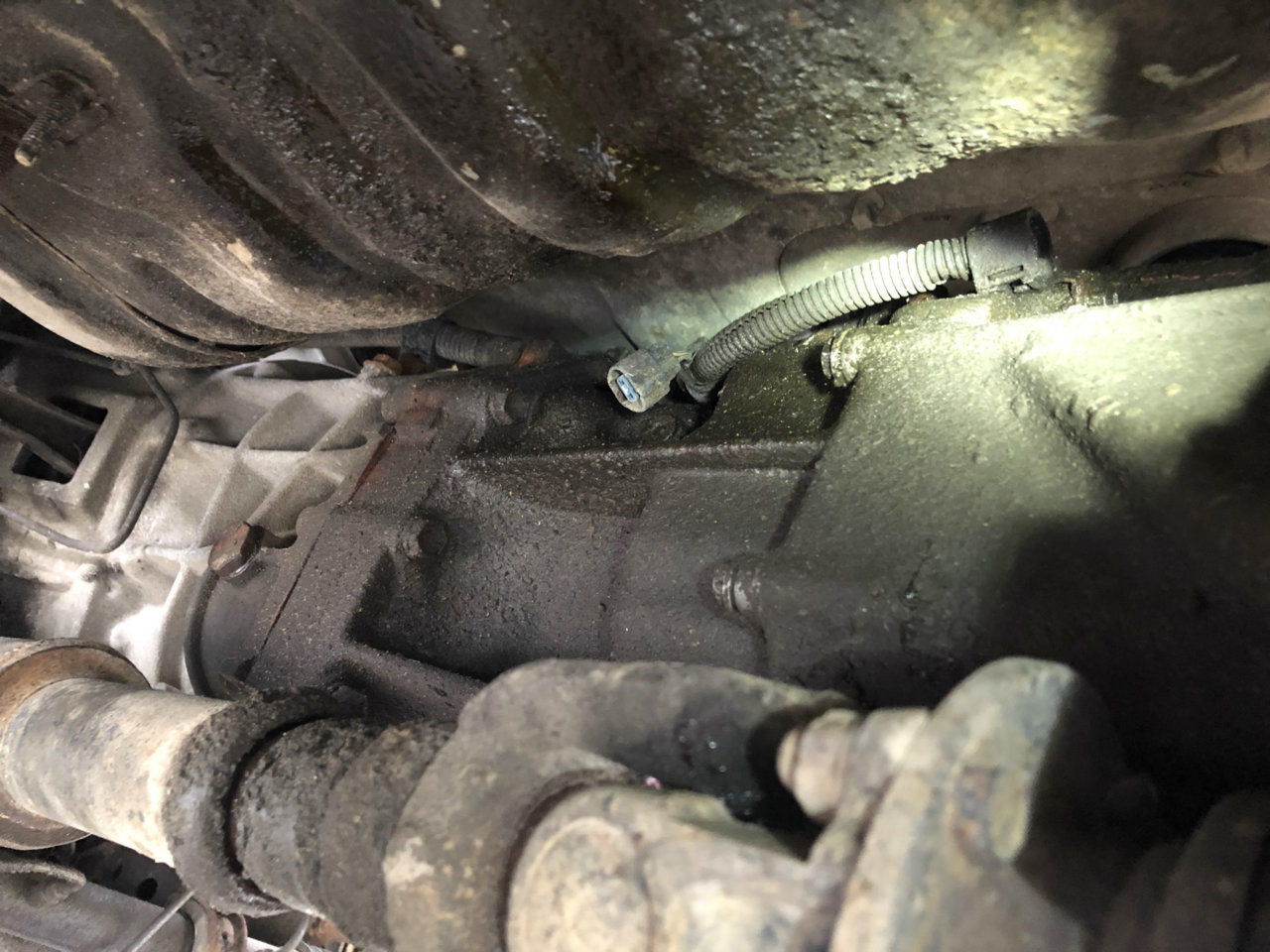 mystery electrical connector above trans.jpg