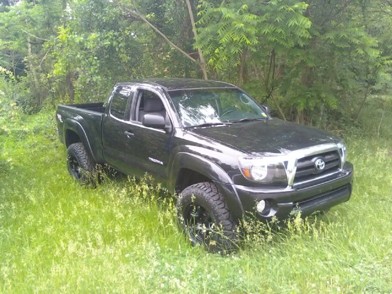 mytaco1_34a76648ab563c2d6407ba8dc868e821adbd50c1.jpg