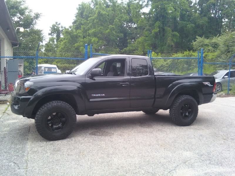 mytaco2_8ff189fb5a40143f5f11a3a94da29811a656d896.jpg