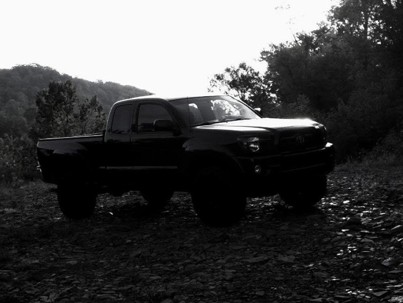 mytacoblackandwhite_ac09842f386ff4ecc947a24fe3fe8aef06bdc648.jpg