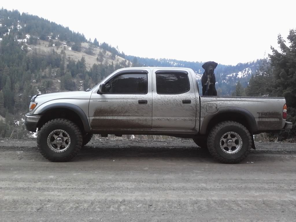 mytruck_85575147c402af0552b929dfef47fb0709ea06d1.jpg