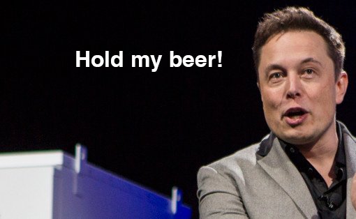 n-ELON-MUSK-628x314.jpg