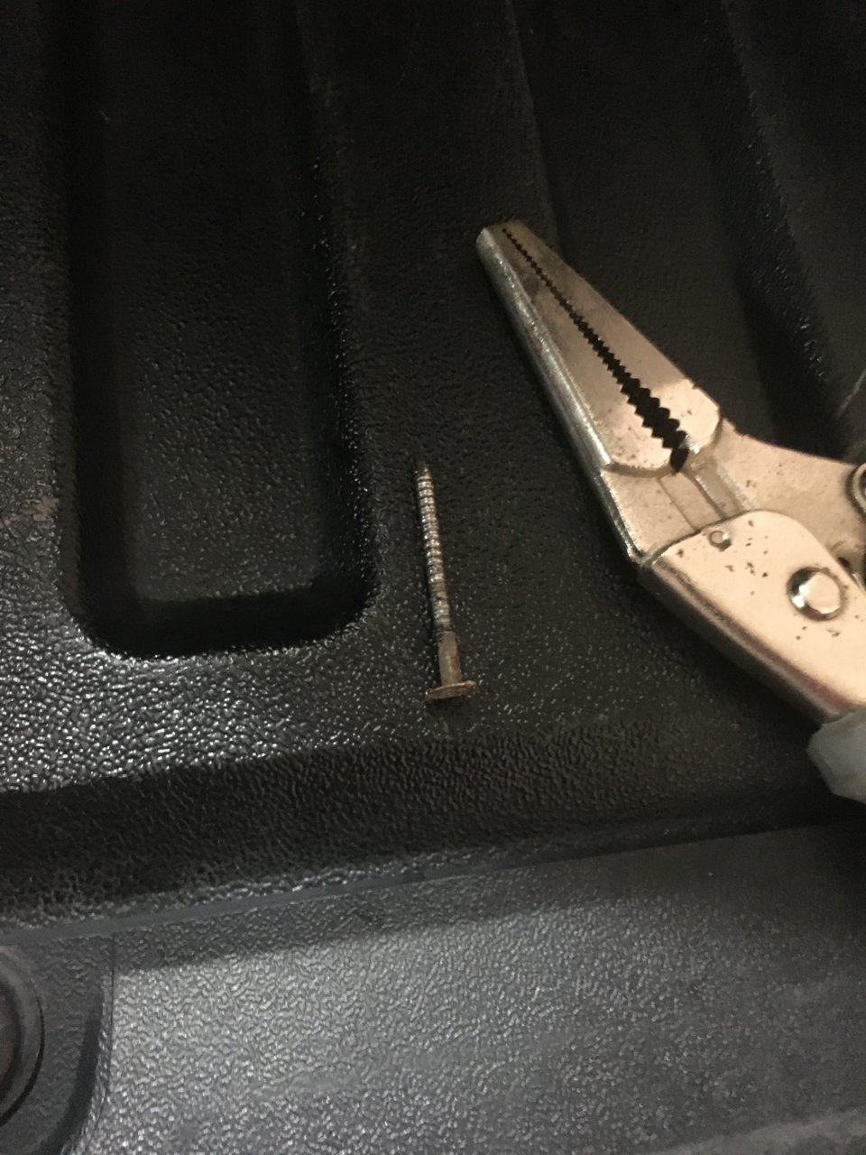 NAIL.jpg