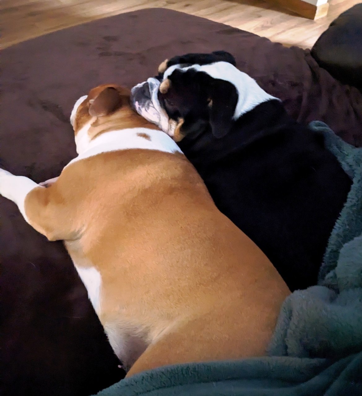 nap time.jpg